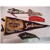 Image 2 : Pennants, misc