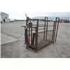 Image 1 : Unknown cattle chute with head gate
