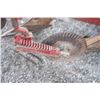 Image 8 : Overum The Triple OK 3 furrow plow