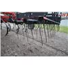 Image 9 : CIH 4500 17 1/2' cultivator, hydraulic fold, 3 bar harrow, rear hitch, one owner, very nice