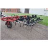 Image 6 : CIH 4500 13' cultivator, 3 bar coil tine harrow, low acres