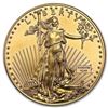 Image 1 : 1 oz American Gold Eagle Coin BU