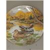 Image 1 : "THE GREEN - WINGED TEAL" by: BART JERNER #8200F for 1987 4TH ISSUE IN JERNER'S DUCKS' COLLECTION
