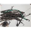 Image 2 : lot of rubber tie downs + bungee cords + ratchet strap