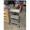 Image 3 : WERNER ARTICULATED LADDER