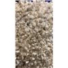 Image 4 : 5FT X 7FT SHAG AREA RUG