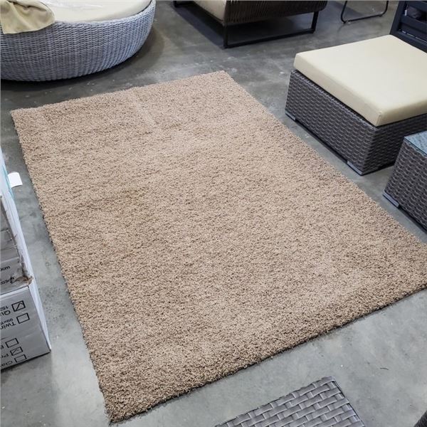 NEW BEIGE AREA CARPTE 5FT X 7FT - RETAIL $199