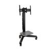 Image 1 : ERGOTRON NEO-FLEX MOBILE MEDIA CENTER UHD WITH 90 DEGREE PIVOT / LANDSCAPE ROTATION - HARDWARE NOT C