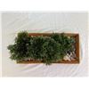 Image 2 : Bonsai Tree Décor