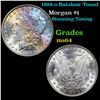 1888-o Morgan Dollar Rainbow Toned  $1 Grades Choice Unc