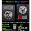 Proof ***Auction Highlight*** PCGS 2019-s Silver Eagle $1 Enhanced Reverse Proof Silver Eagle Dollar