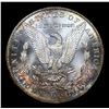 Image 3 : ***Auction Highlight*** 1898-o Morgan Dollar $1 Graded ms67 By SEGS (fc)