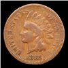 Image 2 : 1881 Indian Cent 1c Grades vf++