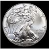 Image 2 : 2019 Silver Eagle Dollar $1 Grades ms69