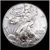 Image 2 : 2019 Silver Eagle Dollar $1 Grades ms70, Perfection
