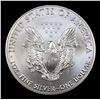 Image 3 : 2019 Silver Eagle Dollar $1 Grades ms70, Perfection