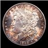 Image 2 : 1902-o Morgan Dollar Near TOP POP! $1 Graded GEM+ Unc By SEGS