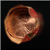 Image 2 : Lincoln 1c roll, 1995-d 50 pcs in Wrapper.