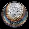 Image 2 : 1886-p Morgan Dollar $1 Grades Choice Unc