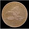 Image 2 : 1858 SL Flying Eagle Cent 1c Grades f+