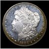 Image 2 : 1886-p Morgan Dollar $1 Grades ms64+ dmpl By SEGS