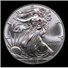 Image 2 : 2019 Silver Eagle Dollar $1 Graded ms69+ By SEGS