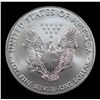 Image 3 : 2019 Silver Eagle Dollar $1 Graded ms70 By SEGS