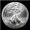 Image 2 : 2013-p Silver Eagle Dollar $1 Graded ms70 By SEGS