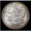 Image 2 : 1900-p Morgan Dollar $1 Graded ms64+ By SEGS