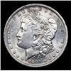 Image 2 : 1891-o Morgan Dollar $1 Graded ms63+ By SEGS