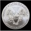 Image 3 : 2019 Silver Eagle Dollar $1 Grades ms70, Perfection