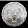 Image 3 : 2019 Silver Eagle Dollar $1 Grades ms70, Perfection