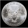 Image 3 : 2020 Silver Eagle Dollar $1 Grades ms69