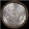 Image 3 : ***Auction Highlight*** 1889 & CC Uncirculated Morgan Dollar Shotgun Roll (fc)