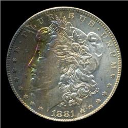 1881O Morgan Dollar Choice BU Great Toning (COI-4526)