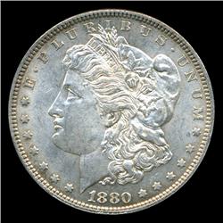 1880 Morgan Dollar Choice BU Scarce Variety (COI-4533)