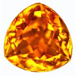 19.10ct First Class Golden Yellow Trillion Citrine Rare (GEM-12858)