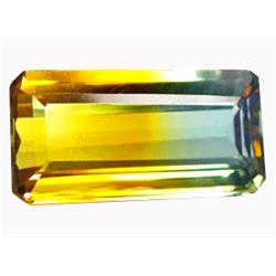 14.80ct Excellent Octagon Bi-Color Ametrine Brazil (GEM-13061)