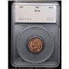 Image 4 : 1890 Indian Cent 1c Graded ms64 RD By SEGS