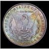 Image 3 : 1883-p Morgan Dollar $1 Grades Choice+ Unc
