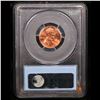 Image 2 : PCGS 2010-d Lincoln Cent Sample PCGS Holder 1c Graded BU By PCGS