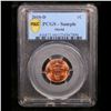 Image 3 : PCGS 2010-d Lincoln Cent Sample PCGS Holder 1c Graded BU By PCGS
