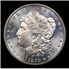 Image 2 : 1879-s Morgan Dollar $1 Grades Choice Unc PL