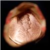 Image 2 : Lincoln 1c roll, 1995-d 50 pcs Wrapper.