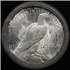 Image 3 : ***Auction Highlight*** Solid Uncirculated First Financial Shotgun Peace silver dollar roll 1924 & P