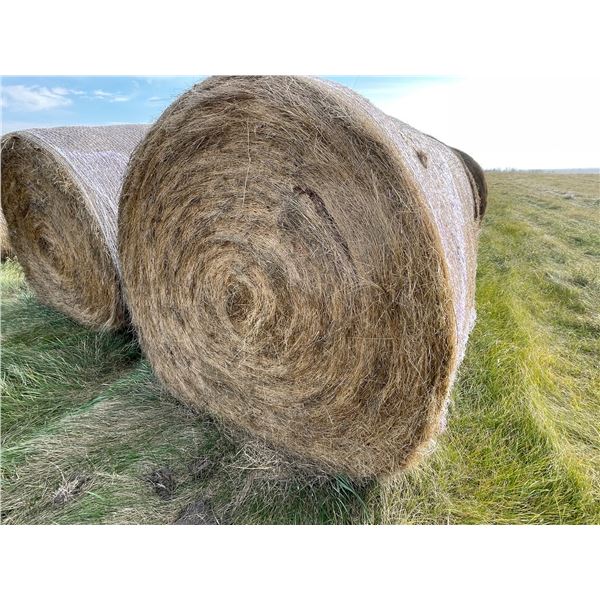 34 Bales of Grass Hay - No rain, net wrapped , Approx 1550 lb bales