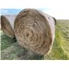 Image 1 : 34 Bales of Grass Hay - No rain, net wrapped , Approx 1550 lb bales