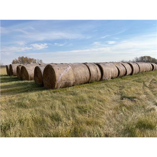 34 Bales of Grass Hay - No rain, net wrapped , Approx 1550 lb bales