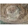 Image 3 : 34 Bales of Grass Hay - No rain, net wrapped , Approx 1550 lb bales