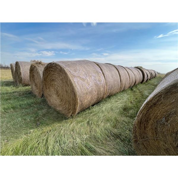 34 Bales of Grass Hay - No rain, net wrapped , Approx 1550 lb bales